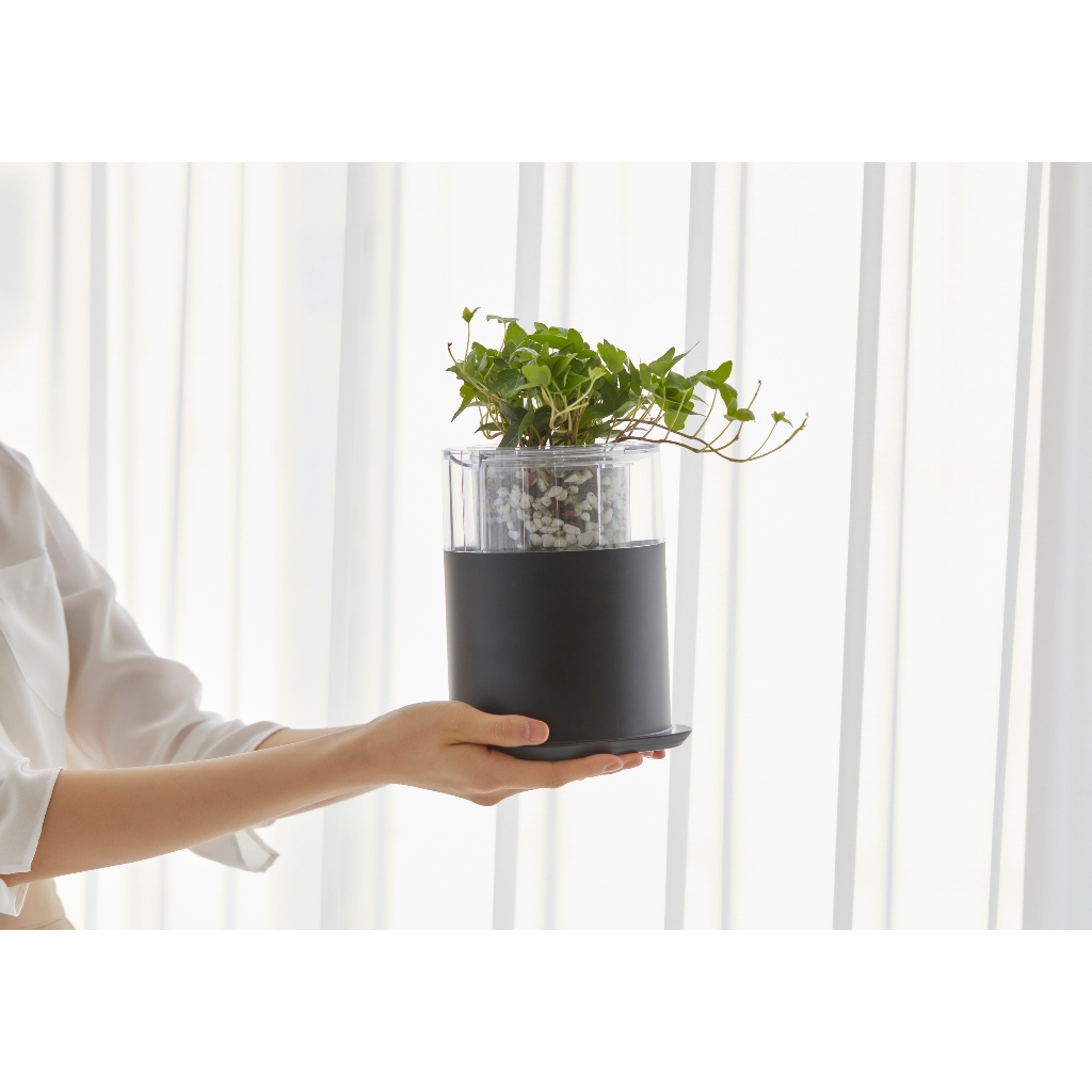 myOasis smart plant pot