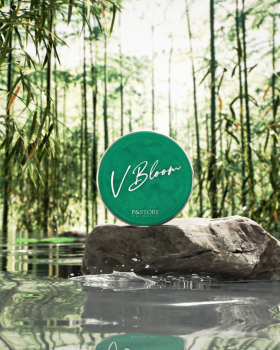 V BLOOM PYUN BAEK CUSHION Cushion