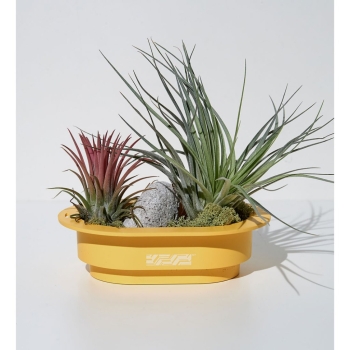 [Sunday Planet] Chậu bệt phong cách châu Âu Sunday Planet SP47 Pot Cappadocia