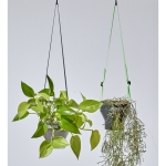 [Sunday Planet] Hanging plant pots to decorate rooms and gardens Sunday Planet strap