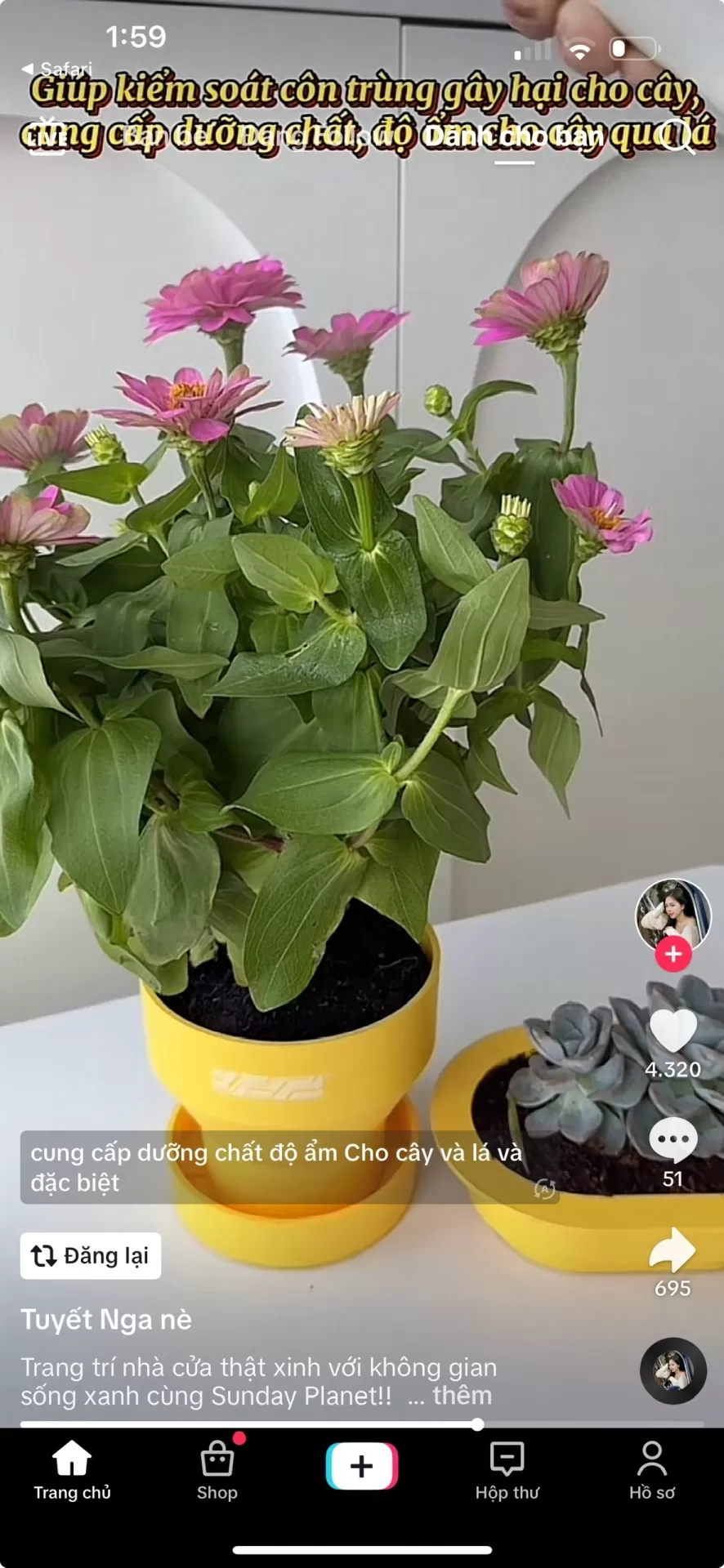 Tuyết Nga Nè test